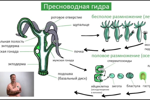 Кракен доставка