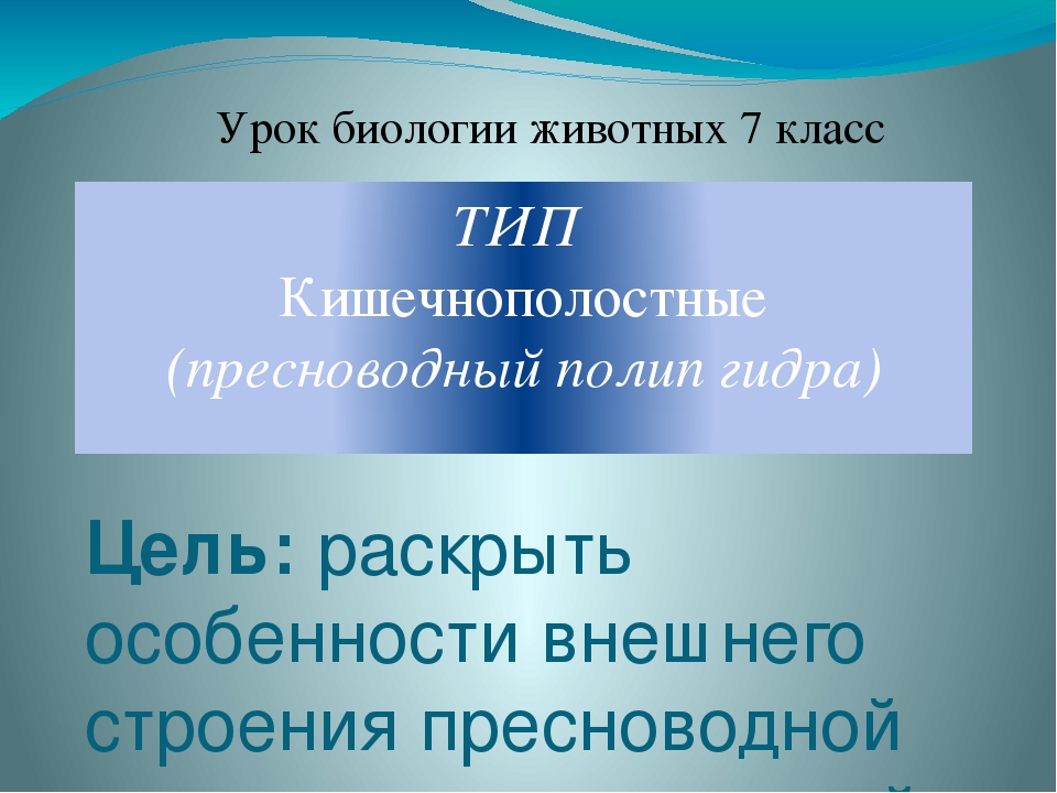 Кракен 12at сайт